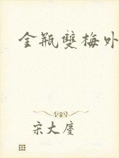 金瓶双梅外传