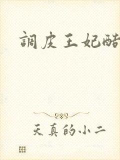调皮王妃酷王爷