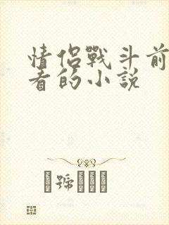 情侣战斗前适合看的小说