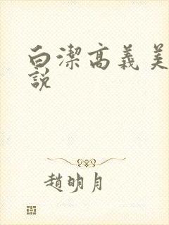 白洁高义美红小说