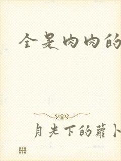 全是肉肉的小说