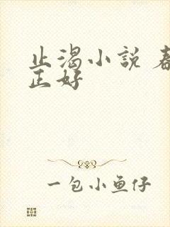 止渴小说 春光正好