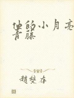 他的小月亮by青藤