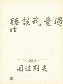 听说我爱过你txt