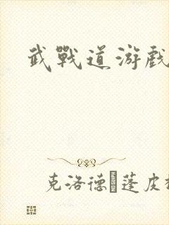 武战道游戏