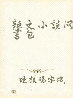 辣文小说网第二书包