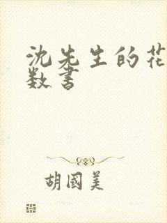 沈先生的花式调数书