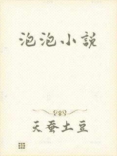 泡泡小说