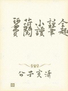 碧荷小说全文免费阅读笔趣阁