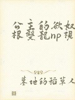 公主的欲奴h四根双龙np视频