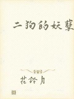 二狗的妖孽人生