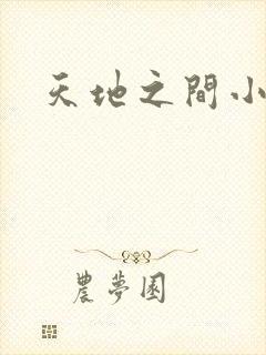 天地之间小说