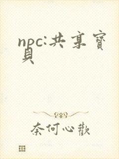npc:共享宝贝