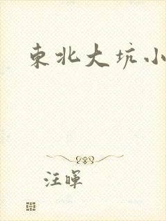 东北大坑小说