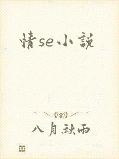 情se小说