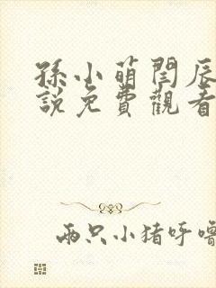 孙小萌闫辰的小说免费观看