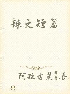 辣文短篇