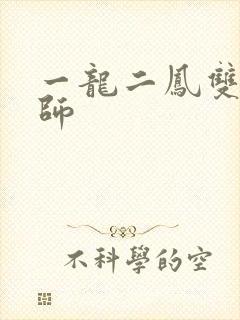 一龙二凤双飞老师