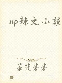 np辣文小说