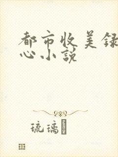 都市收美录宁素心小说