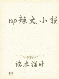 np辣文小说