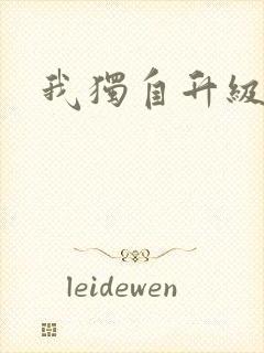 我独自升级小说