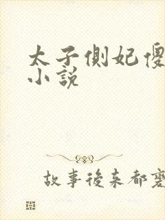 太子侧妃傻乎乎小说