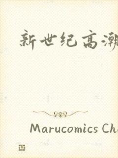 新世纪高潮战队