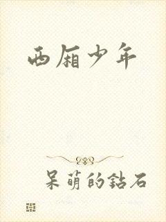 西厢少年