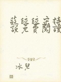 苏皎皎宋持的小说免费阅读