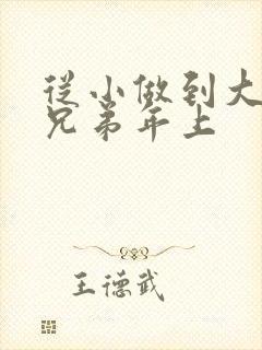 从小做到大骨科兄弟年上