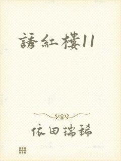 诱红楼11