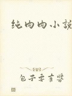 纯肉肉小说