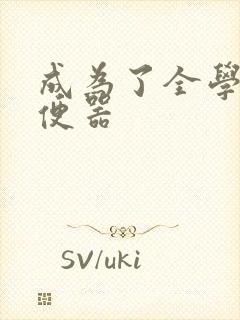 成为了全学校坐便器