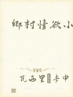 乡村情欲小说