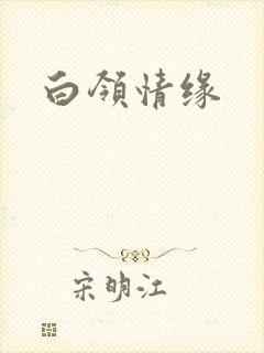白领情缘