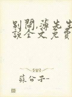 别闹,薄先生小说全文免费阅读