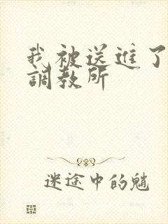 我被送进了私奴调教所