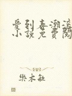 爱到春潮滚滚来小说免费阅读