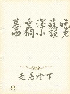 慕云泽苏晚晴夏雨桐小说免费阅读