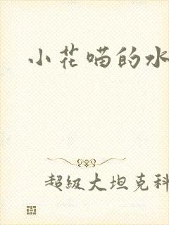 小花喵的水蜜桃