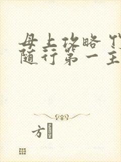 母上攻略 竹影随行第一主板