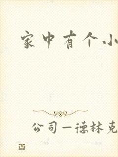 家中有个小姨子