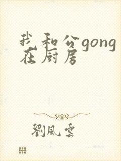 我和公gong在厨房