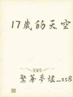 17岁的天空