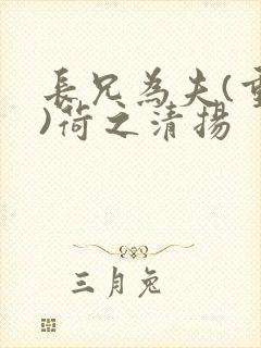 长兄为夫(重生)荷之清扬