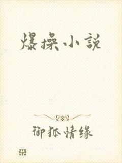 爆操小说