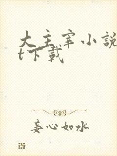 大主宰小说txt下载