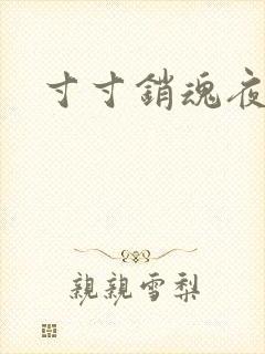 寸寸销魂夜春光