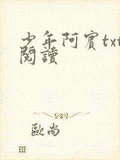 少年阿宾txt阅读
